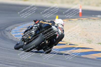 media/Apr-14-2024-SoCal Trackdays (Sun) [[70f97d3d4f]]/2-Turn 11 Backside (935am)/